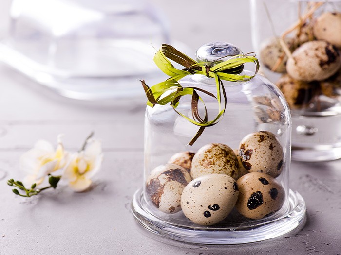 Cloches holding eggs sitting on a table.